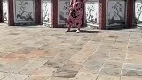 谢娜人气高，也很漂亮，才华也是很棒