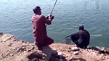 老外野钓胖头鱼，跟国内完全不是一个水平，3个人才能抬起来！