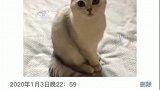 听说最近劈叉很火