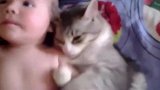 看这宝宝和猫咪的互动，真是有爱极了啊，都想抱走怎么办