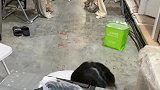 成功的秘诀在于坚持自己的目标和信念
