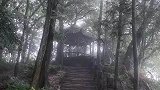 东风知我欲山行吹断檐间积雨声