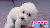 该听的听,不该听的就不听