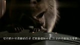 狗狗在浣熊的鼓励下,尝试下水游泳,真是个天才呢！
