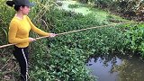 小妹胆子还挺大，竟用蜈蚣作饵垂钓，结果连中大鱼，太过瘾了！