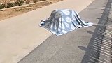 这是怎么回事？床单跳起来了，但是里面没人啊！
