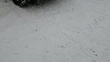 流浪猫在雪天找食物吃，又冷又饿太可怜了