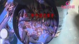 香椿别再花钱买了，教你在家种出来，不仅省钱还实用！