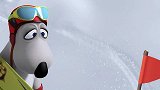 贝肯熊：倒霉熊雪山滑雪，要刹不住车啦