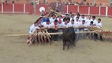 最奇葩的斗牛比赛，老牛都气疯了年轻人,不讲武德