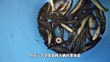平水库旁边发现神秘黑洞，里面藏有不明生物，旁边竟发现这个