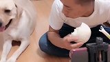赛文看着视频里的牛排，在瞅瞅自己的馒头，气得直接怼老远
