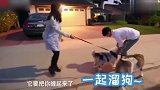 张碧晨华晨宇承认有一个孩子，热恋期怀孕就分手，独自生娃后复合