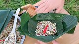 端午节很快就要到了，这个包粽子模具，你有见过吗？不会包粽子的我，也能包出漂亮的粽子哦