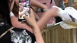 我说我的嘴硬，小姐姐非要来试试