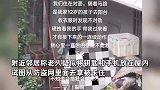 湖南一老人被卡防盗窗身亡，第二天才被发现，邻居：疑没带钥匙欲从窗户进入