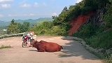 大哥我本地的麻烦让个道
