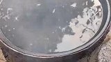 农村浪人：今天用铁桶煮牛肉丸