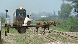 印度大爷赶毛驴过铁路，一辆火车迎面冲来，毛驴：有什么好急的！