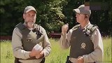国外恶搞：警察用信鸽快递路人身份证？猎人打死信鸽毁坏身份证？