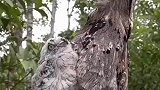 竟遇到些稀奇古怪的玩意儿
