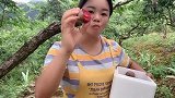 小乐乐到果园摘“三华李”累得满身汗，但是收获满满