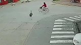 阿根廷一只逃走的鸵鸟在街头疾驰 将一名骑自行车的女子撞倒