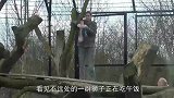 花豹向村民求助，谁知村民“趁火打劫”看完大家请别笑