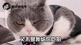 好家伙！葫芦娃续集没你我都不看！