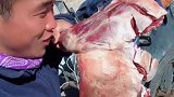 自己做饭还是可以省很多的