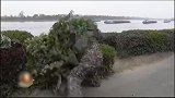恶作剧：男子在路边装成一团草，把经过的路人吓了一跳