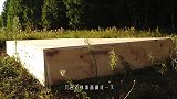巨型捕鼠夹威力有多强？老外用6个大西瓜测试，画面不忍直视！