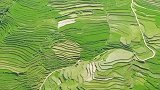 贵州大山里的世外桃源，上面住着一个村庄，满屏的绿色，太美了！