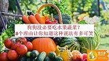 为什么要给狗吃果蔬?从生物进化讲到犬类营养:营养免疫预防疾病