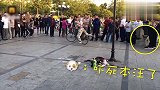 大妈公园喝酒卖艺 翻滚劈叉吓哭小孩