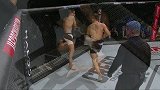 UFC-15年-UFC Fight Night 77：雏量级阿尔梅达vs布里查克-全场
