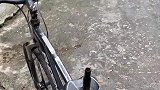 老婆出门骑行，半路发来了这段视频