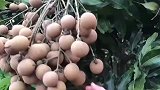 满满的都是诱惑，真想去搞他一蛇皮袋