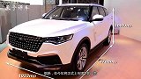 这款车这次玩“绝了”！比汉兰达还漂亮！让人一看“流口水”！
