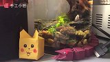 教你做一个“生态鱼缸”，材料来自大自然，做出来超好看！