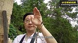 比手掌还大的蝗虫！最爱吃红萝卜，2亿年没有进化的史诗生物