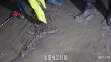 大退潮赶海闯入“龙虾窝”，发现遍地海鲜窝在石缝，抓都抓不过来