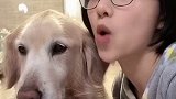 你们都说我家狗已经老了？不！这才是它…