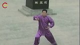 太极大师陈小旺，演示陈氏太极拳精髓，主要看气质