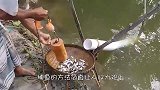 农村小哥河边捕鱼，自制神奇的自动捕鱼系统，躺着收获一大桶鱼！