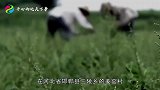 河北农村挖出中国最大“巨龙”几大谜团围困专家，至今未解