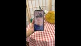 我在用这个超便宜的钢化膜，不仅防水防油污，还可以防偷窥