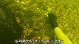 水下寻宝意外发现神秘罐子，老外当场打开，网友：吓死宝宝了！