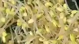 水煮肉片教程来啦这样做超级好吃下饭