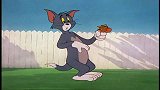 猫和老鼠：汤姆慌里慌张，想要抓杰瑞，不料杰瑞早有防备！